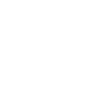 np_brain_756154_FFFFFF.png
