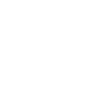 np_google_1951547_FFFFFF.png