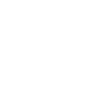 np_donate_165163_FFFFFF.png