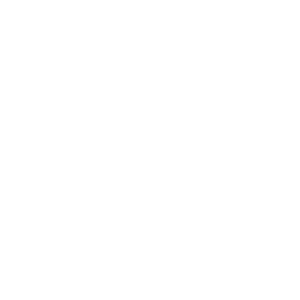 np_donate_851667_FFFFFF.png