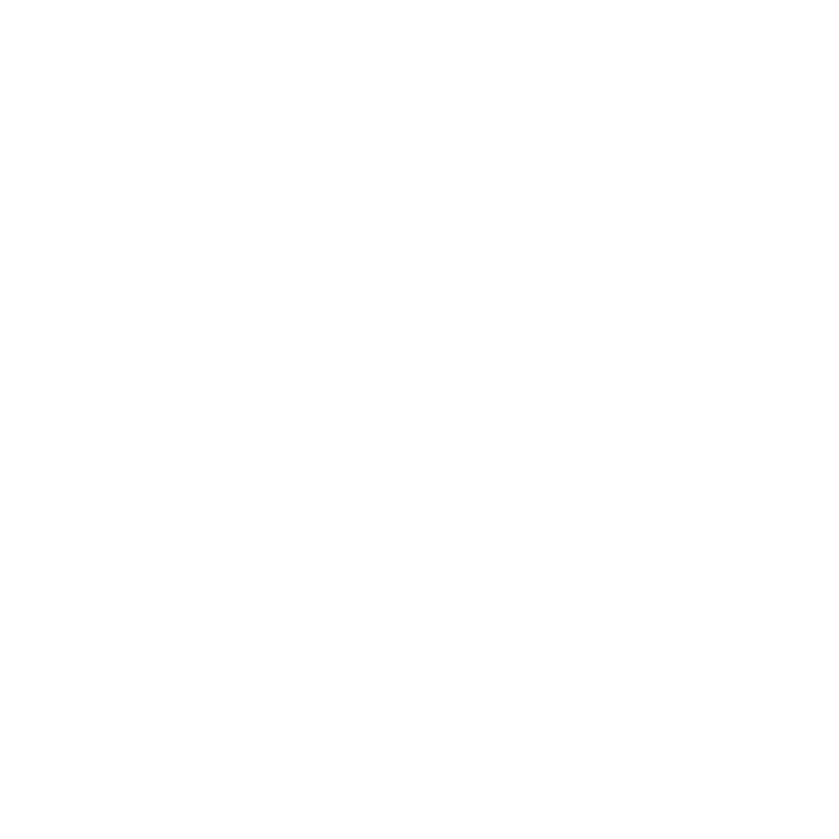 np_globe_1147175_FFFFFF.png