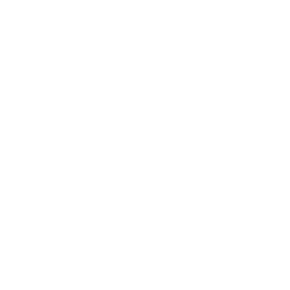 np_networking_56176_FFFFFF.png