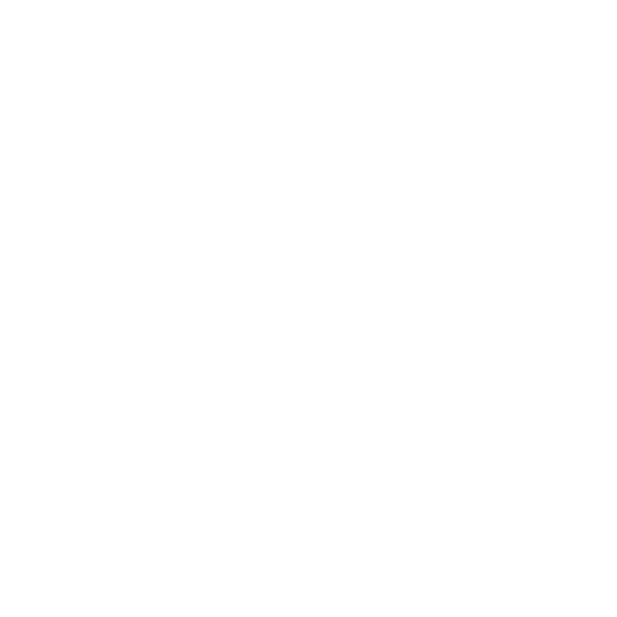 np_camera-security_1918902_FFFFFF.png