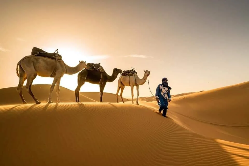 Discover Morocco with Epica Travel