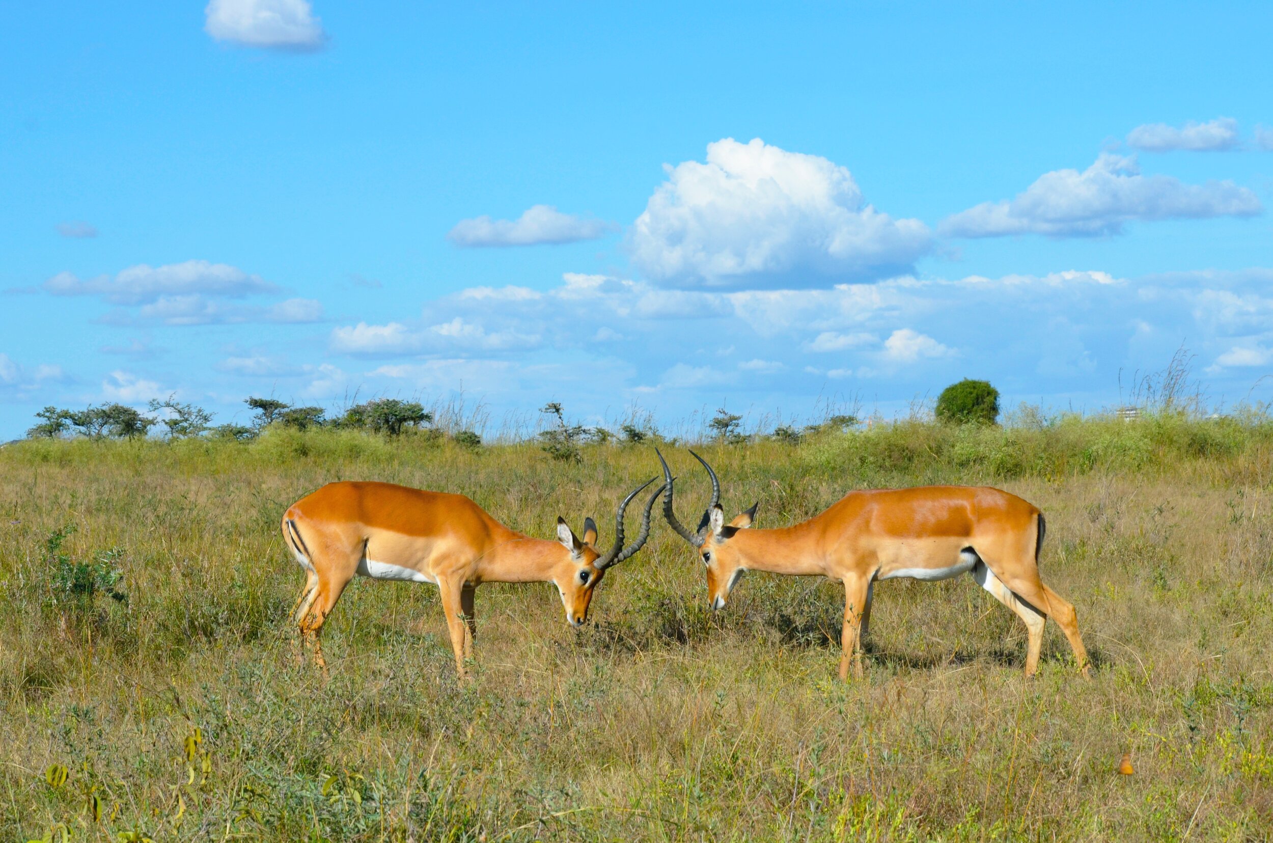4 Things You Learn When You Spend A Month In Kenya