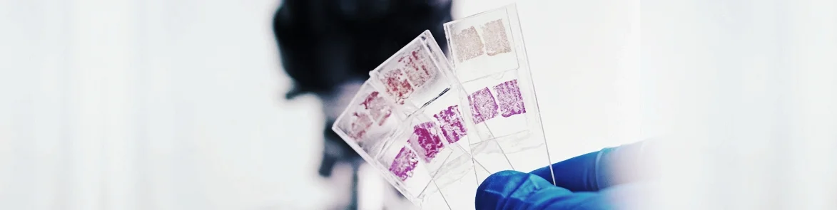 BioMarq-Histopathology.jpg