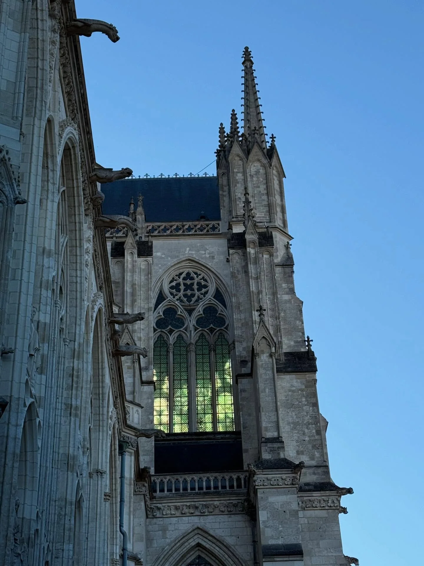 Play of early morning light, glass and tracery @notredame_amiens 🇫🇷