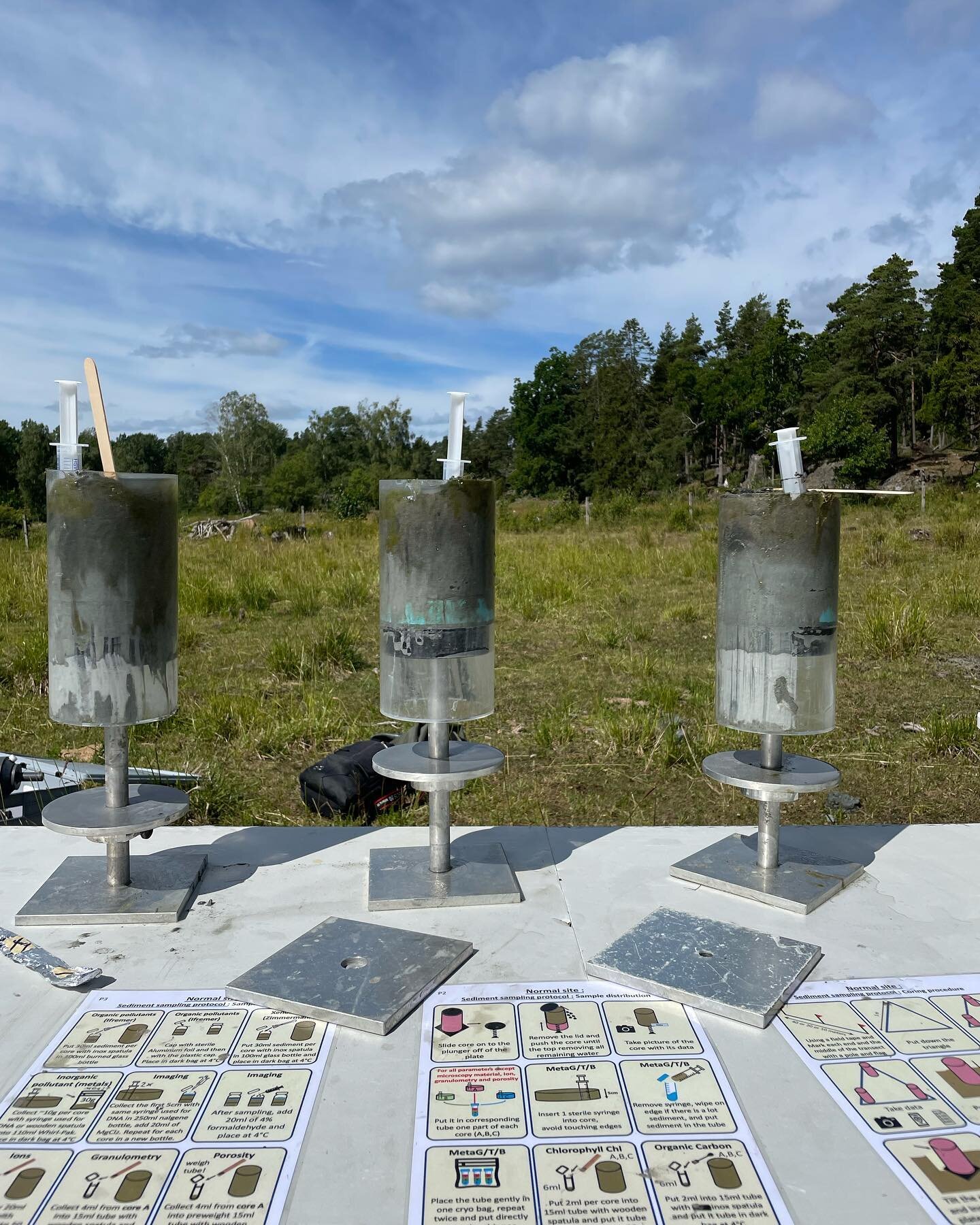 📅 Sampling Day 2: Exploring Ask&ouml; Island, gathering samples from shallow water, sediment, soil, and foliage. 🌊🌱🔬 Stay tuned for intriguing insights into the island's microbiome! 🌿🌏🦠🧫
 @embl_org @scilifelab @fondationtaraocean @askolab #em