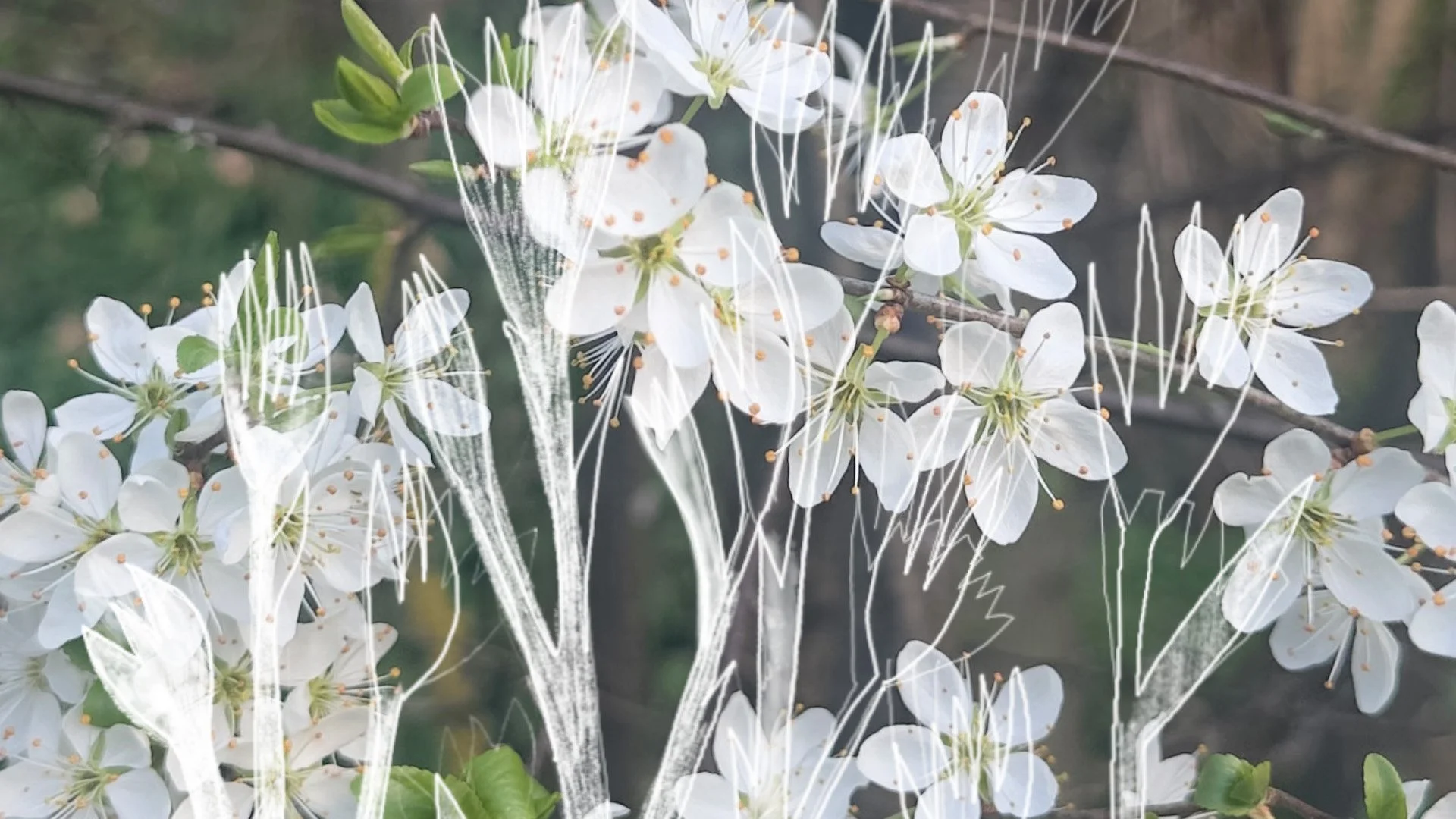 NICA // von früh bis spät