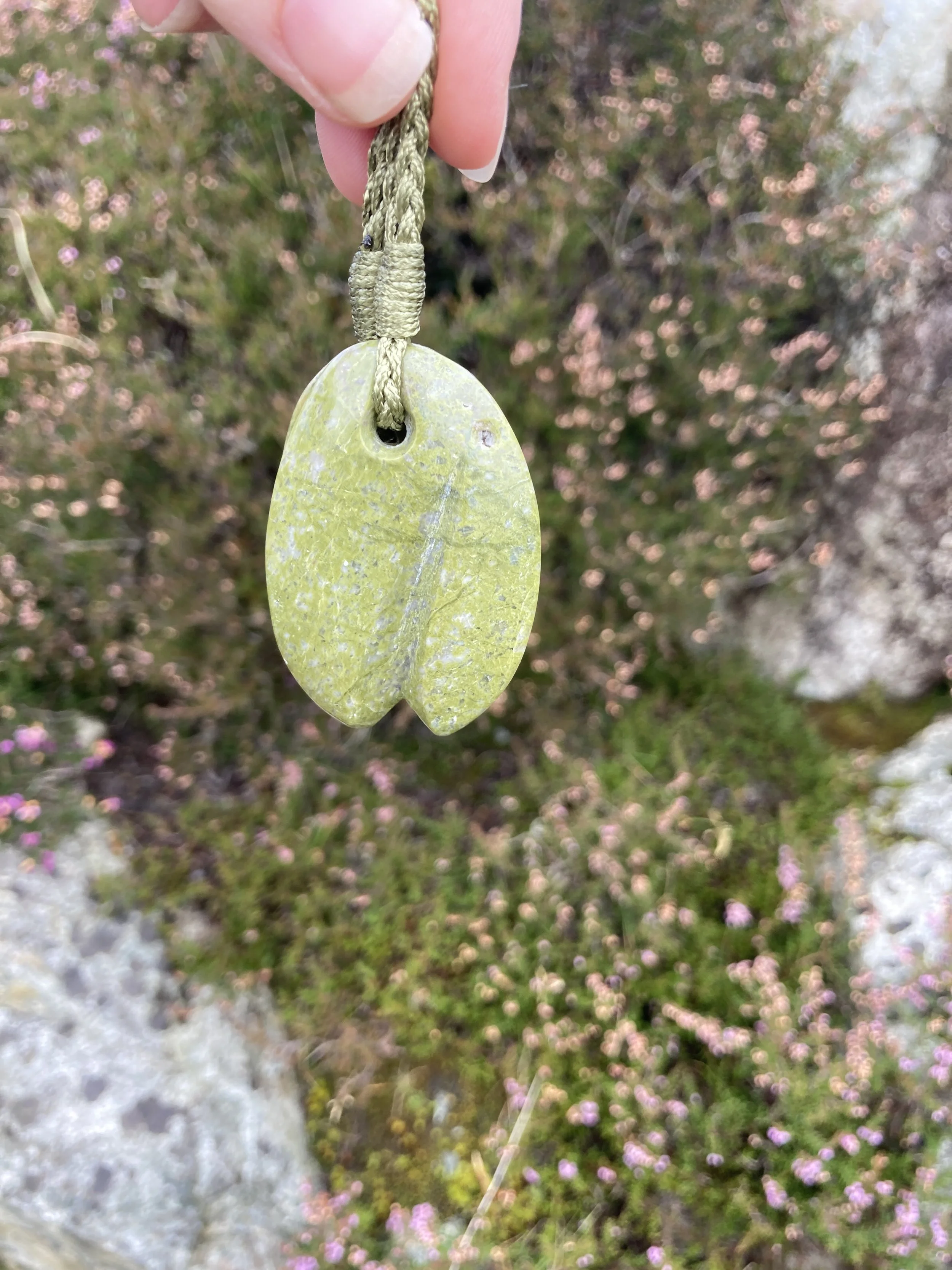 IMG_4594.jpeg