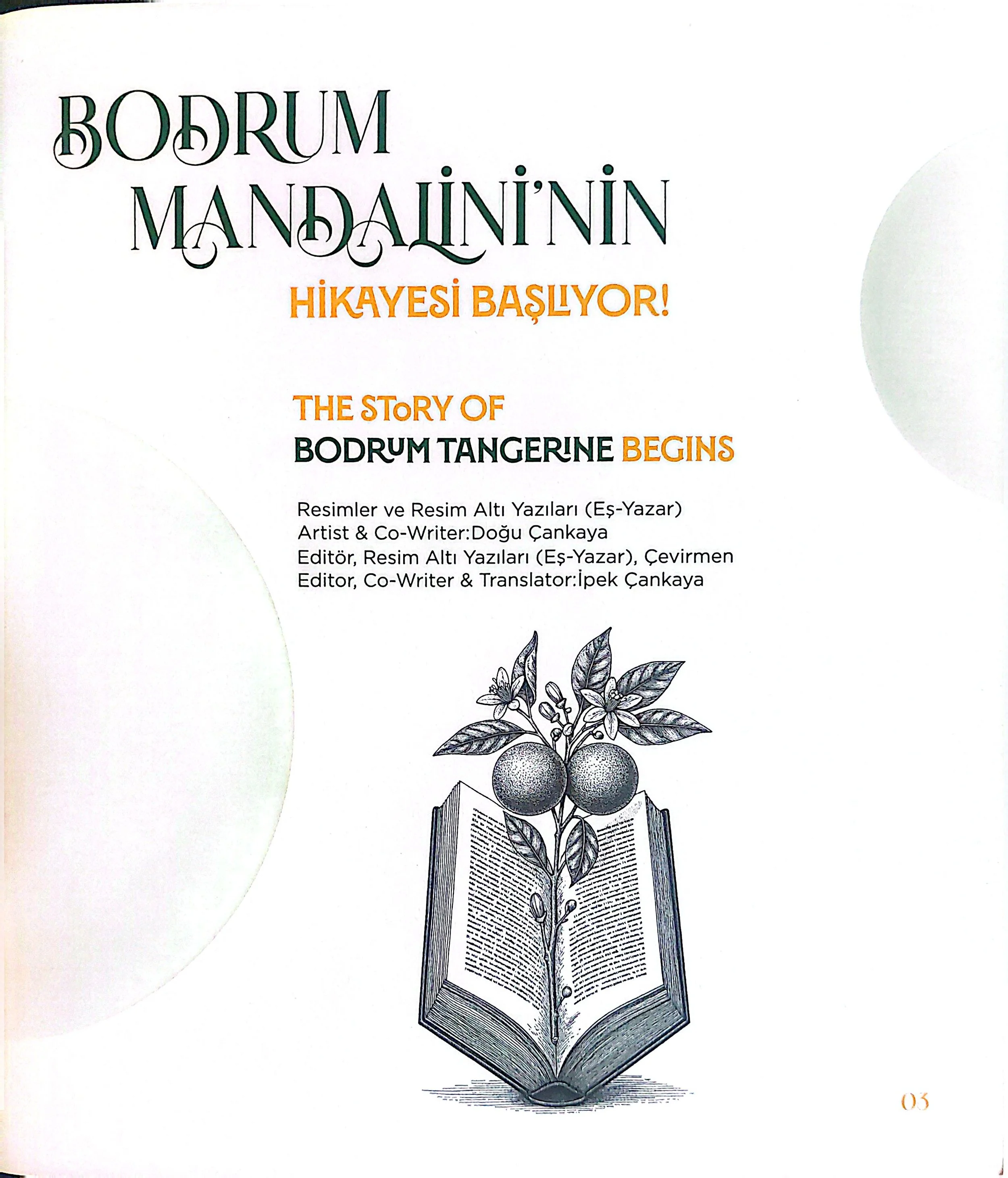 bodrum yesili kitap-2.jpg