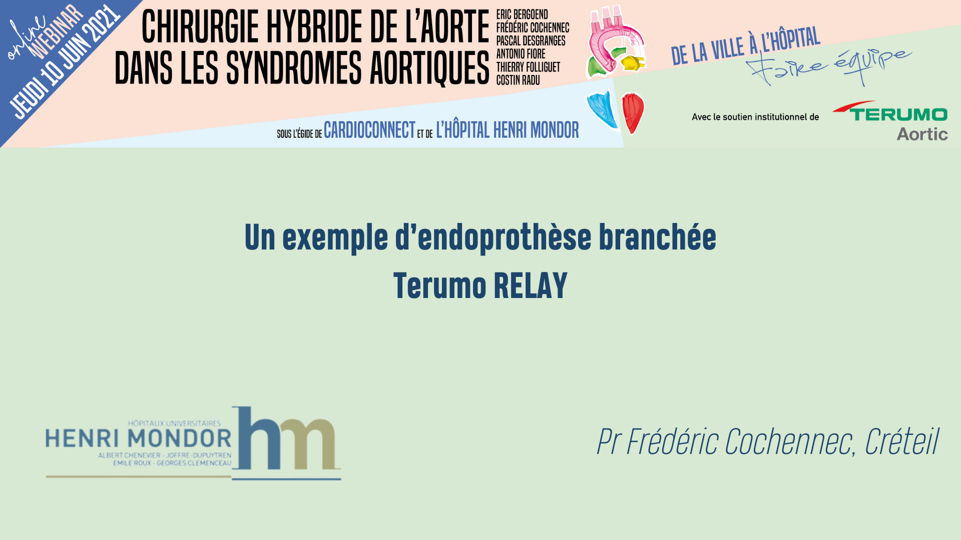 Pr Frédéric Cochennec - Un exemple d'endoprothèse branchée Terumo RELAY