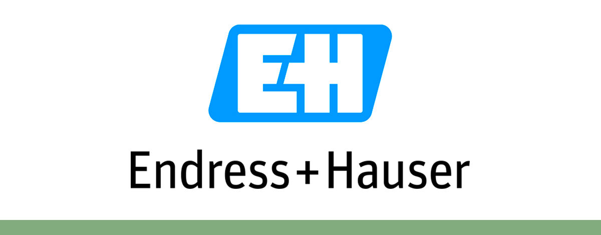 Endress-Hauser logo.jpg