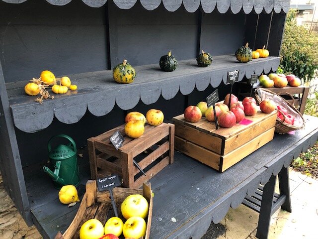 10-28 squashes and heritage apples.jpg