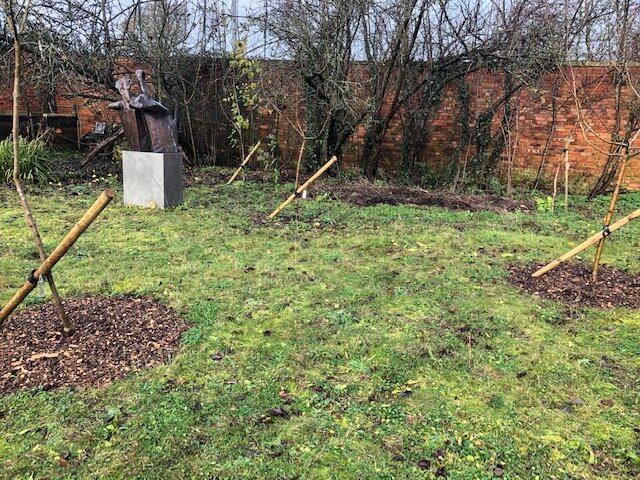 3b Geoff re-staked the orchard trees.jpg