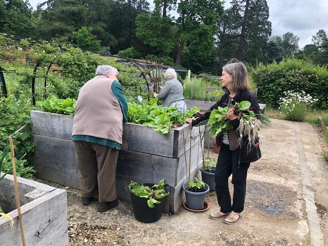Veg garden - Sarah and Ruth pick crops.jpg