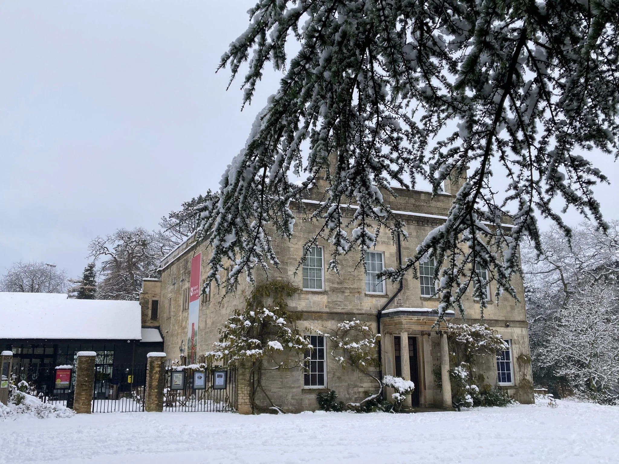 MiP in snow by Georgia Jamieson Dec 22.jpg