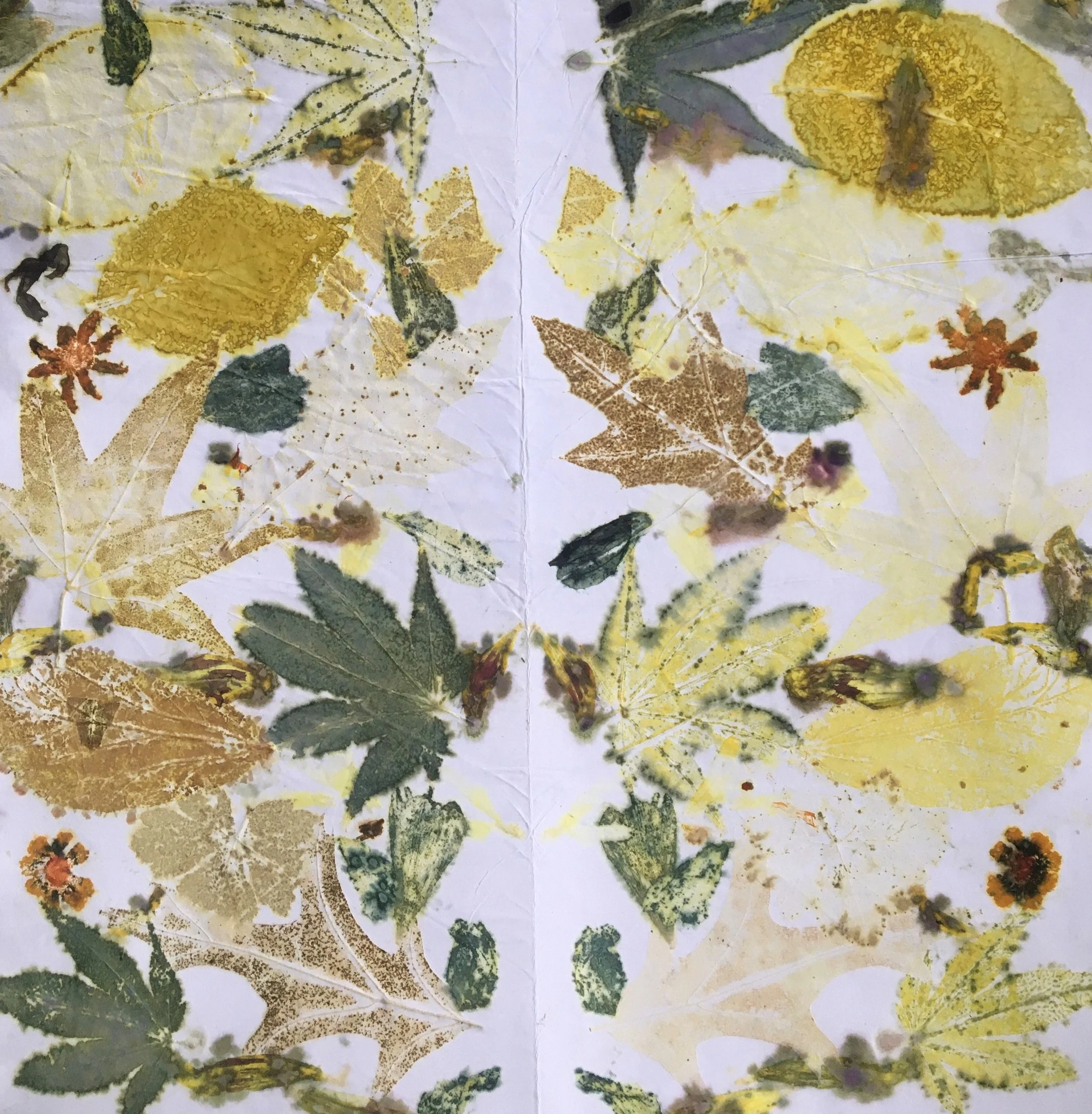 FULLY BOOKED Eco Printing Workshop with Ruth Illingworth