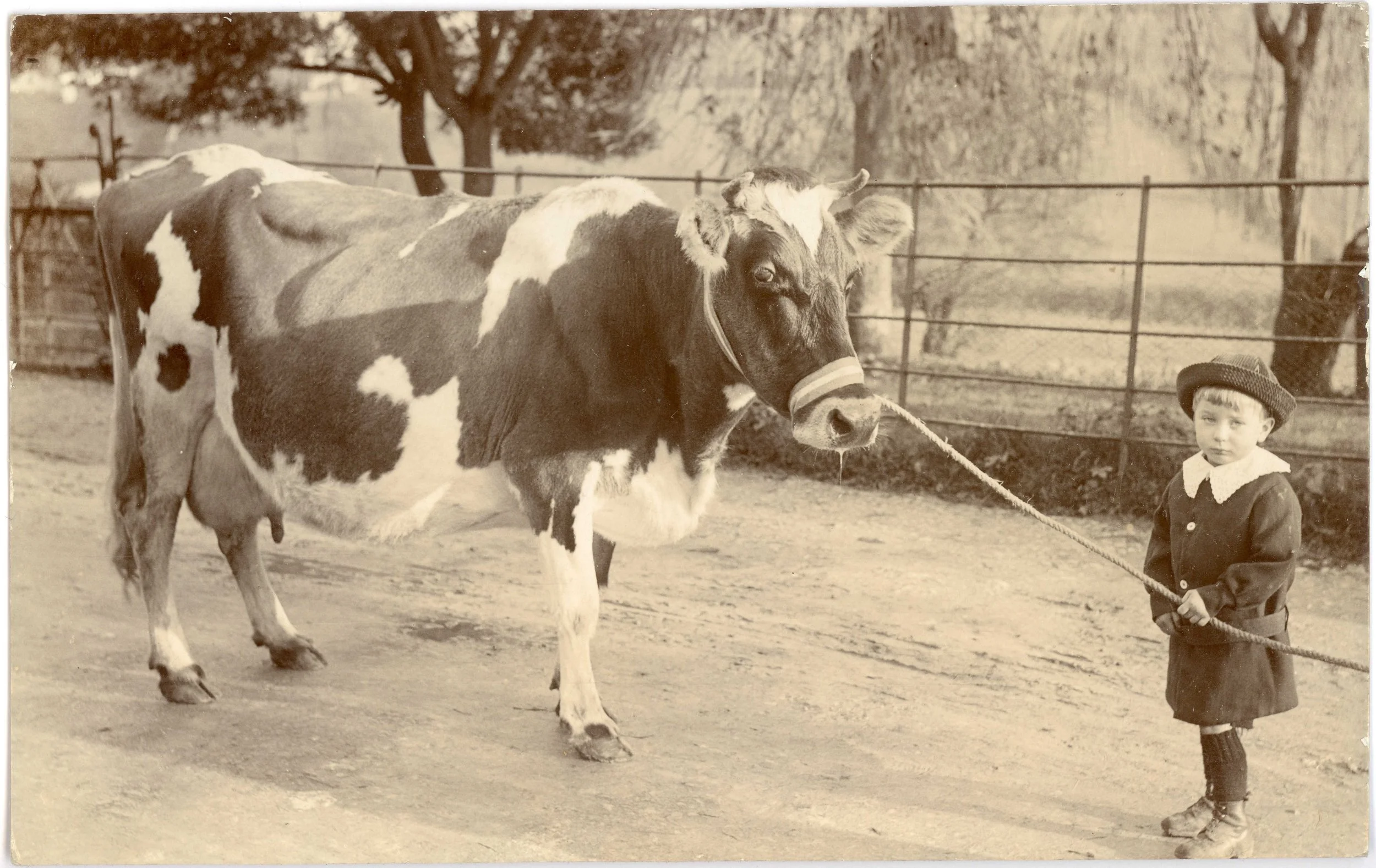 Fantastic Farmyards - Museum Inspired Drop-in Family Activity 