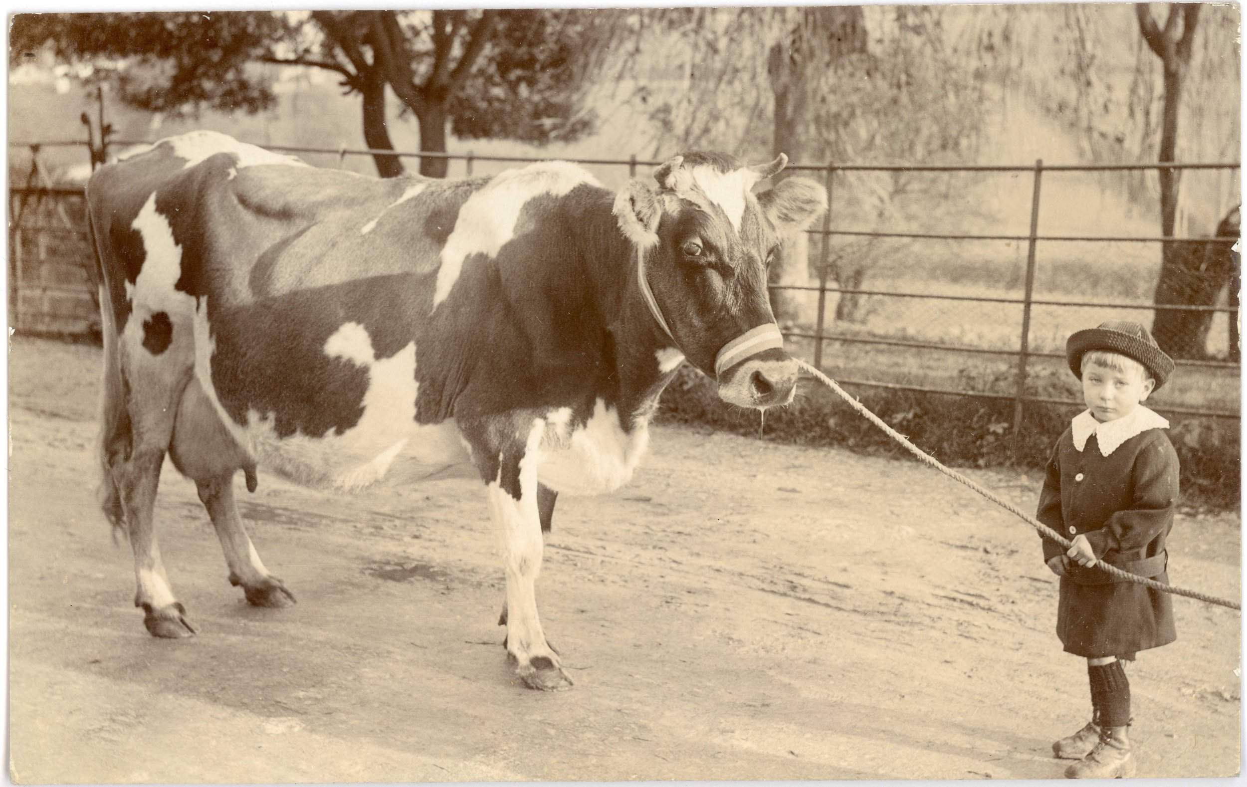 Fantastic Farmyards - Museum Inspired Relaxed Family Session 