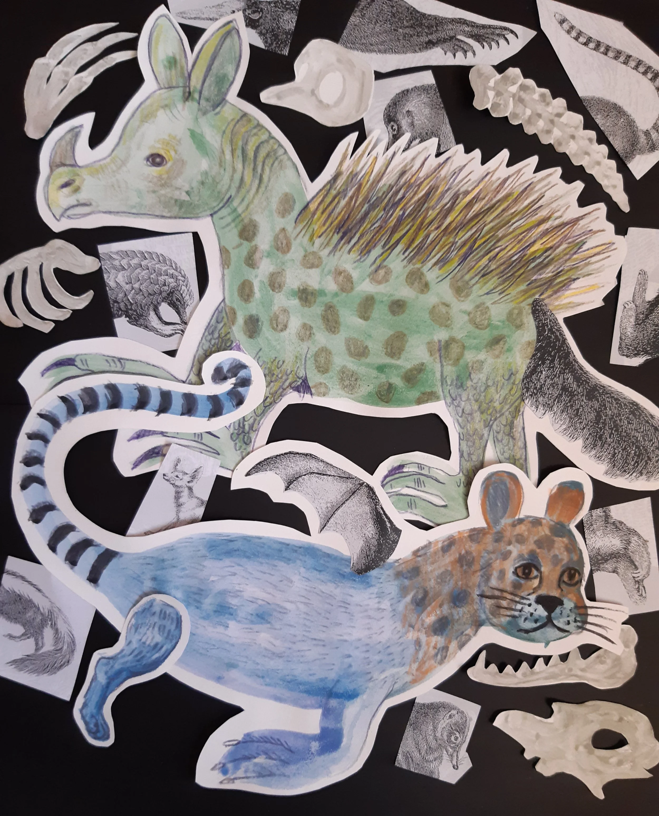 Future Fossils! Family Drop-in Workshop with Artist Alison Cockcroft