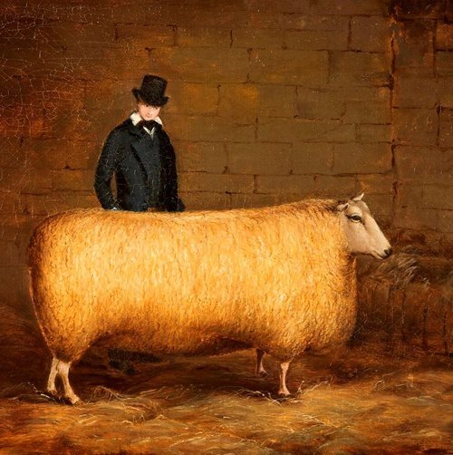 Amazing Animals: Museum Inspired Family Drop-in Activity 