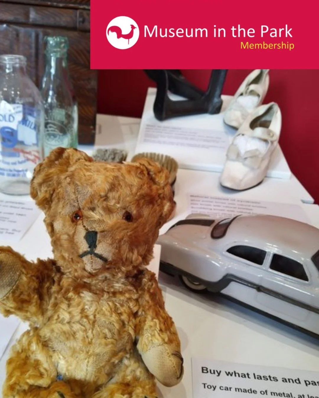 25 Years in 25 Days: 2021

January 2026 marks the 25th anniversary of the opening of the Museum in the Park &ndash; to celebrate, we&rsquo;ll be sharing a highlight from each year over 25 days. 

In 2021, we launched our first museum membership. Memb