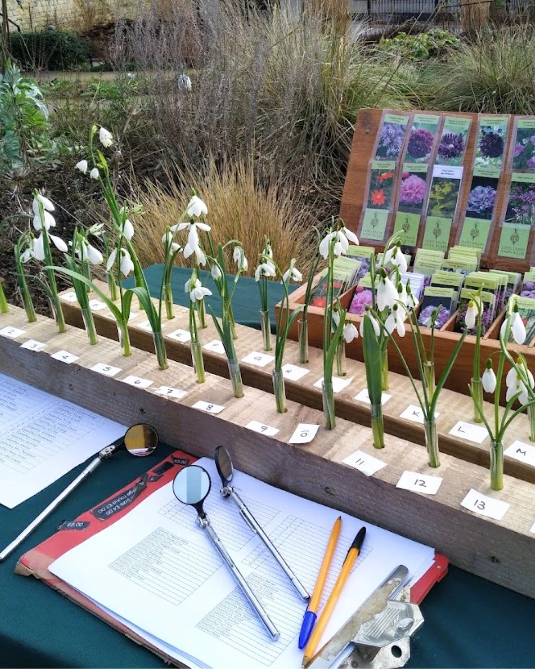 25 Years in 25 Days: 2019

January 2026 marks the 25th anniversary of the opening of the Museum in the Park &ndash; to celebrate, we&rsquo;ll be sharing a highlight from each year over 25 days. 

First Snowdrop Event

In 2019 we celebrated the story 