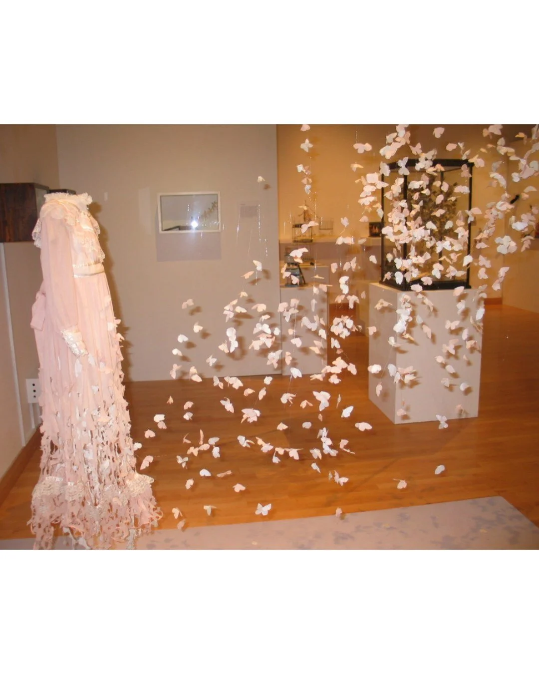 25 Years in 25 Days: 2007

January 2026 marks the 25th anniversary of the opening of the Museum in the Park &ndash; to celebrate, we&rsquo;ll be sharing a highlight from each year over 25 days. 

In July 2007 we experienced our quietest exhibition la