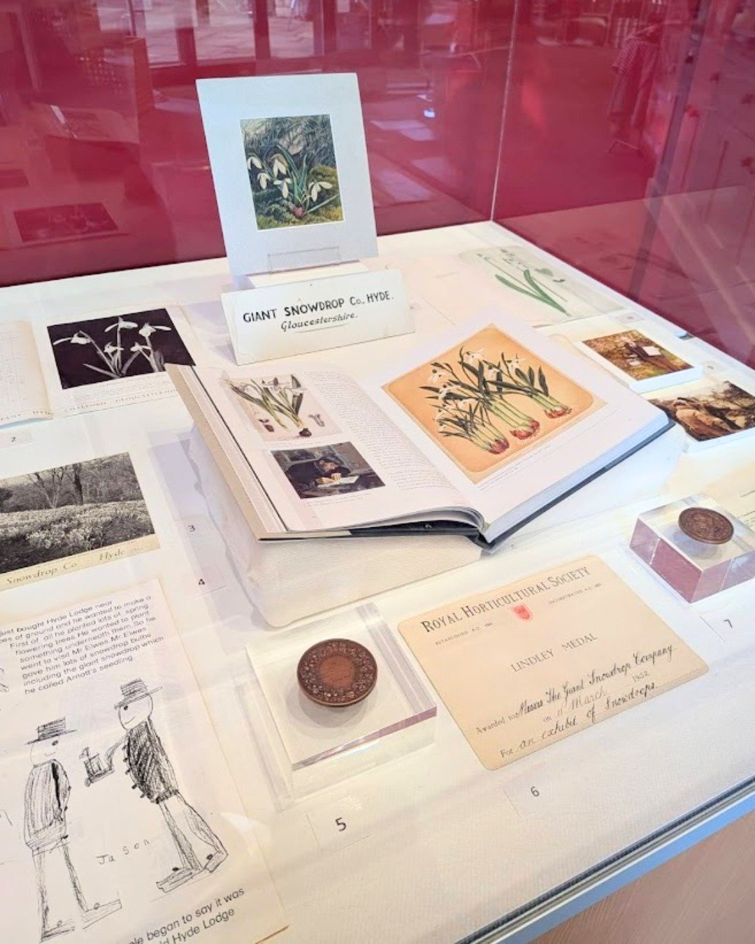 Foyer Display: The Giant Snowdrop Company
 
Thank you so much to everyone who visited us at last weekend! If you couldn&rsquo;t join us for our Snowdrop Celebration, you can still come and enjoy our beautiful Walled Garden. Additionally, our foyer di