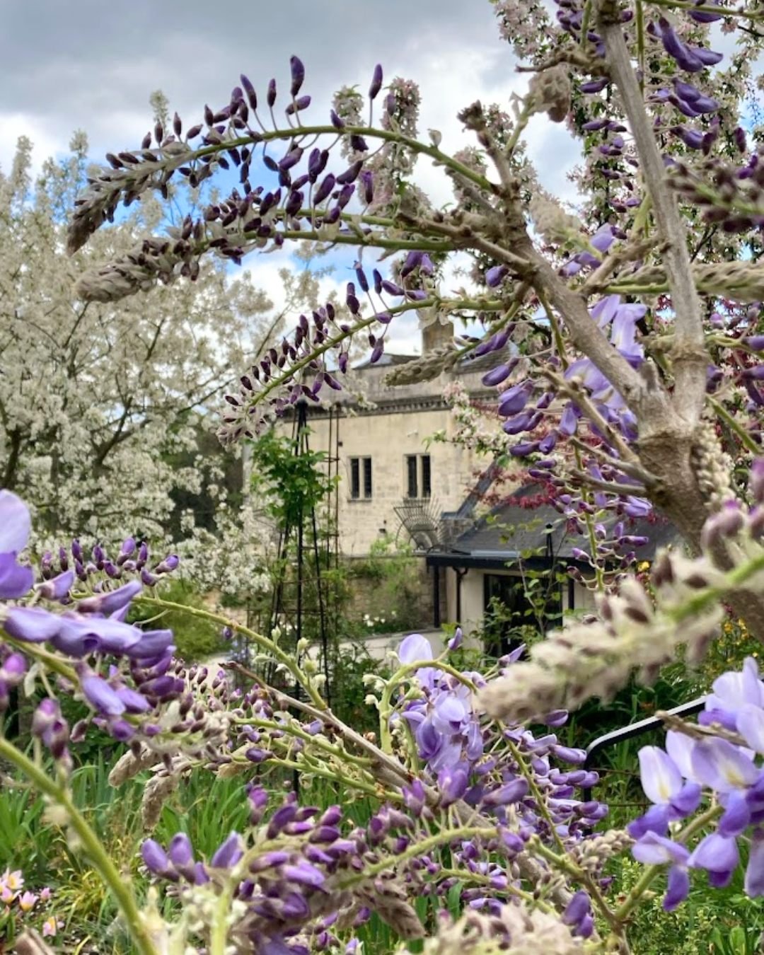 Easter Weekend 2026 🌷

Saturday 4th and Sunday 5th April : 11am - 4.30pm
Bank Holiday Monday, 6th April: 11am - 4.30pm

Come and explore the Museum, Art Gallery and Walled Garden...

🐰 Pick up a free Explorer trail from Front Desk
🍰 Enjoy a delici
