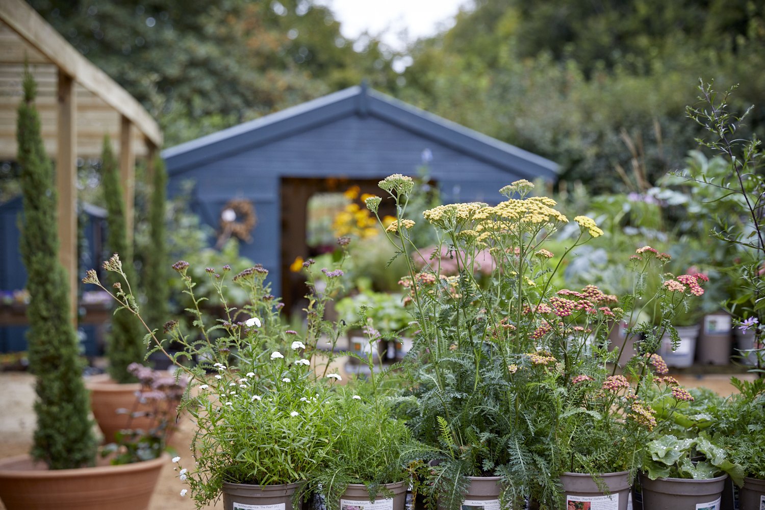 Pop Up Plant Sale from Exedra Nursery