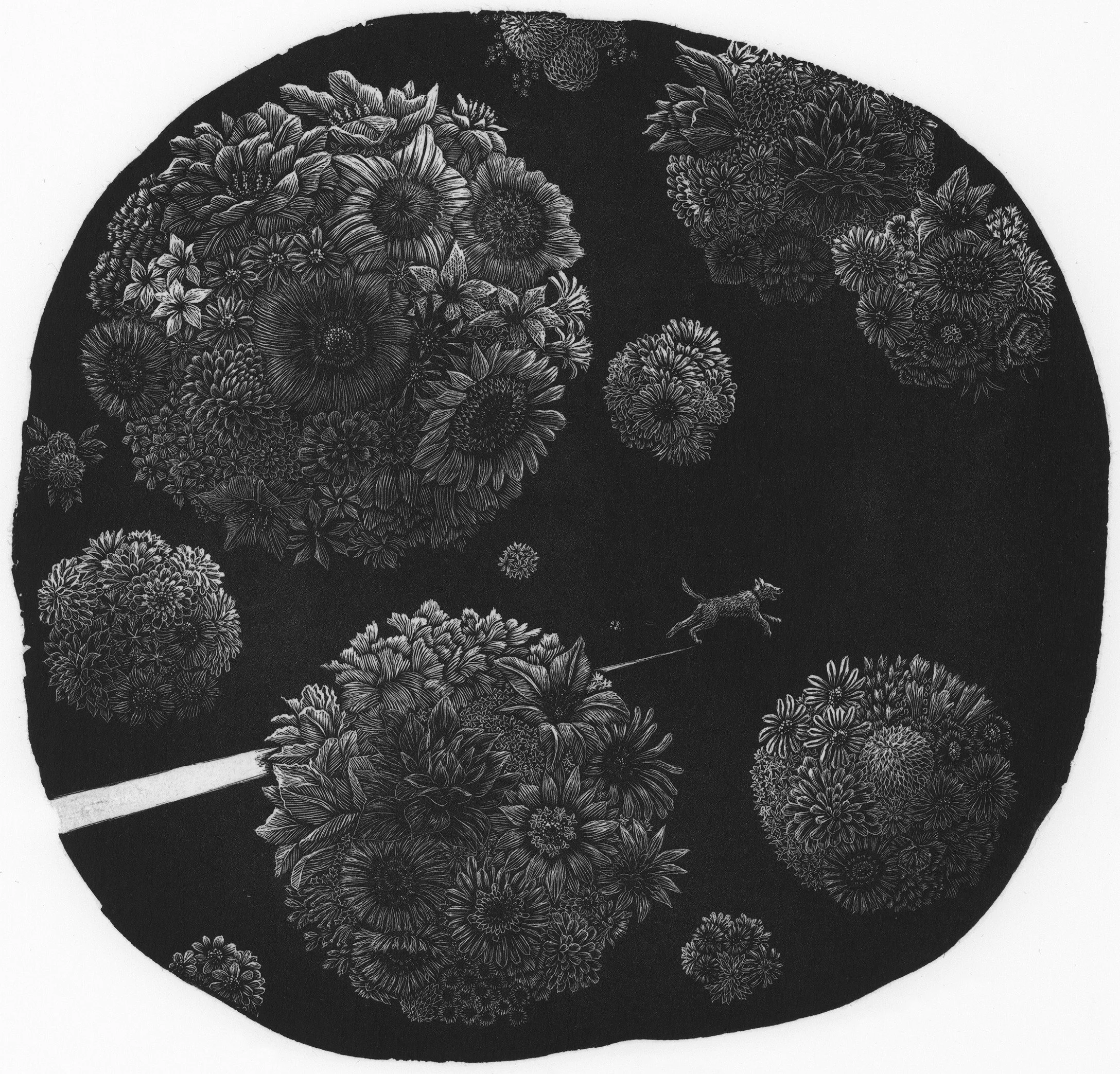 The Society of Wood Engravers’ 88th Annual Exhibition