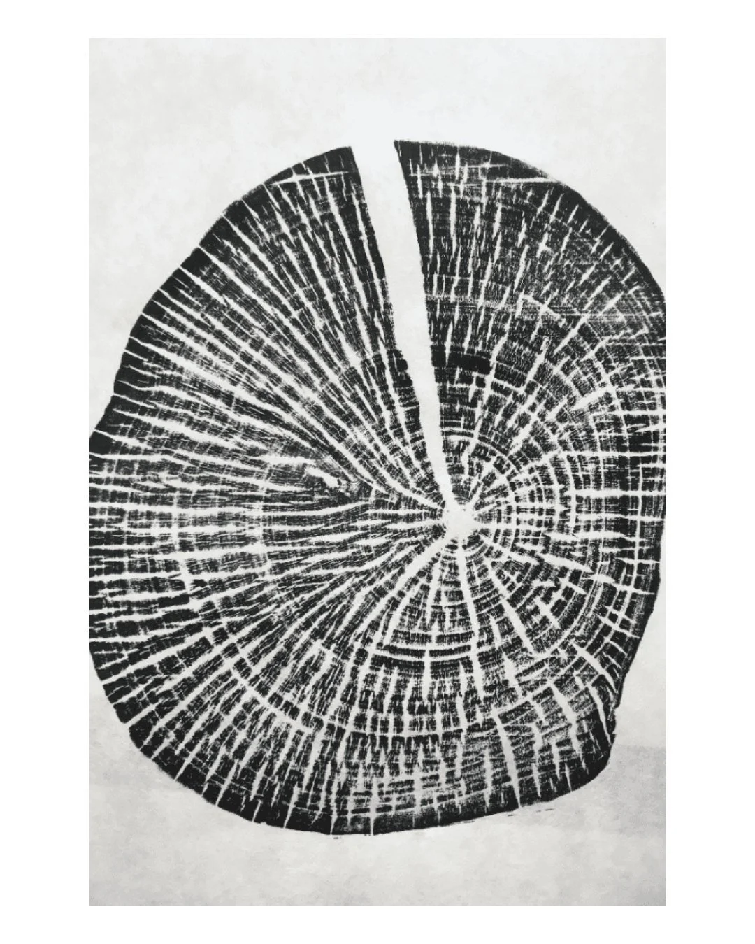 There are a limited amount of spaces available for this Friday's workshop, with Charlie Ash... 

Workshop: Print Tree Rings with Charlie Ash
Friday 17th April 2026
10:30am - 3:30pm

In this special day workshop with tutor Charlie Ash, you&rsquo;ll di