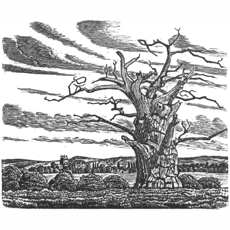 Wood Engraving Demo &amp; Meet the Artist Peter Collins