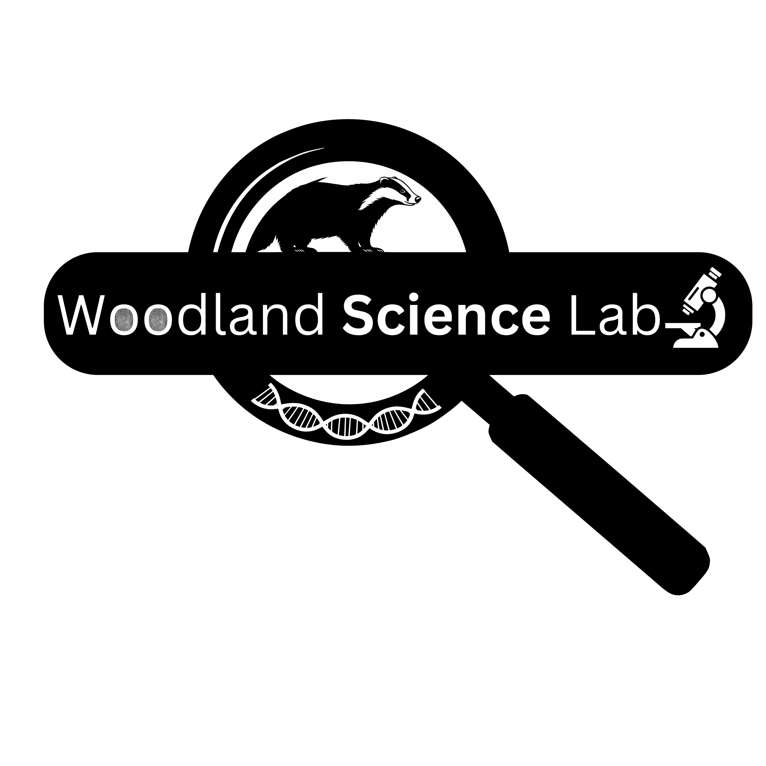 Woodland Science Lab at The Museum in the Park 