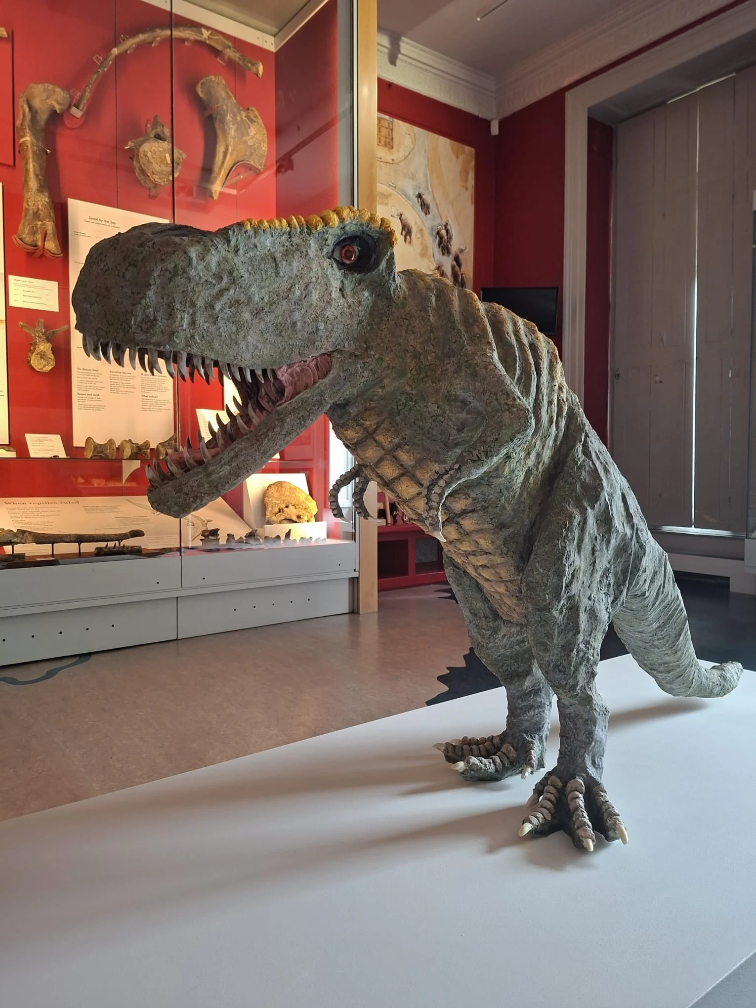 Name Our Dinosaur! Stroud Show Day Activity 