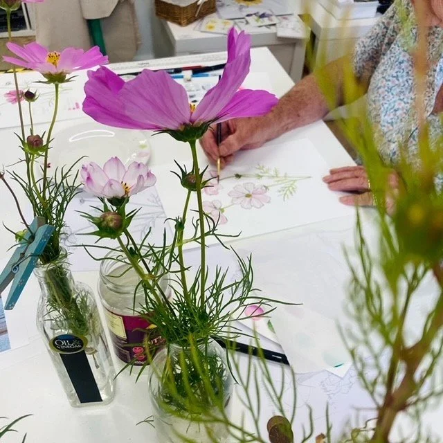 Summer Flowers in Pen &amp; Watercolour: Botanical Art Workshop with Karen Green