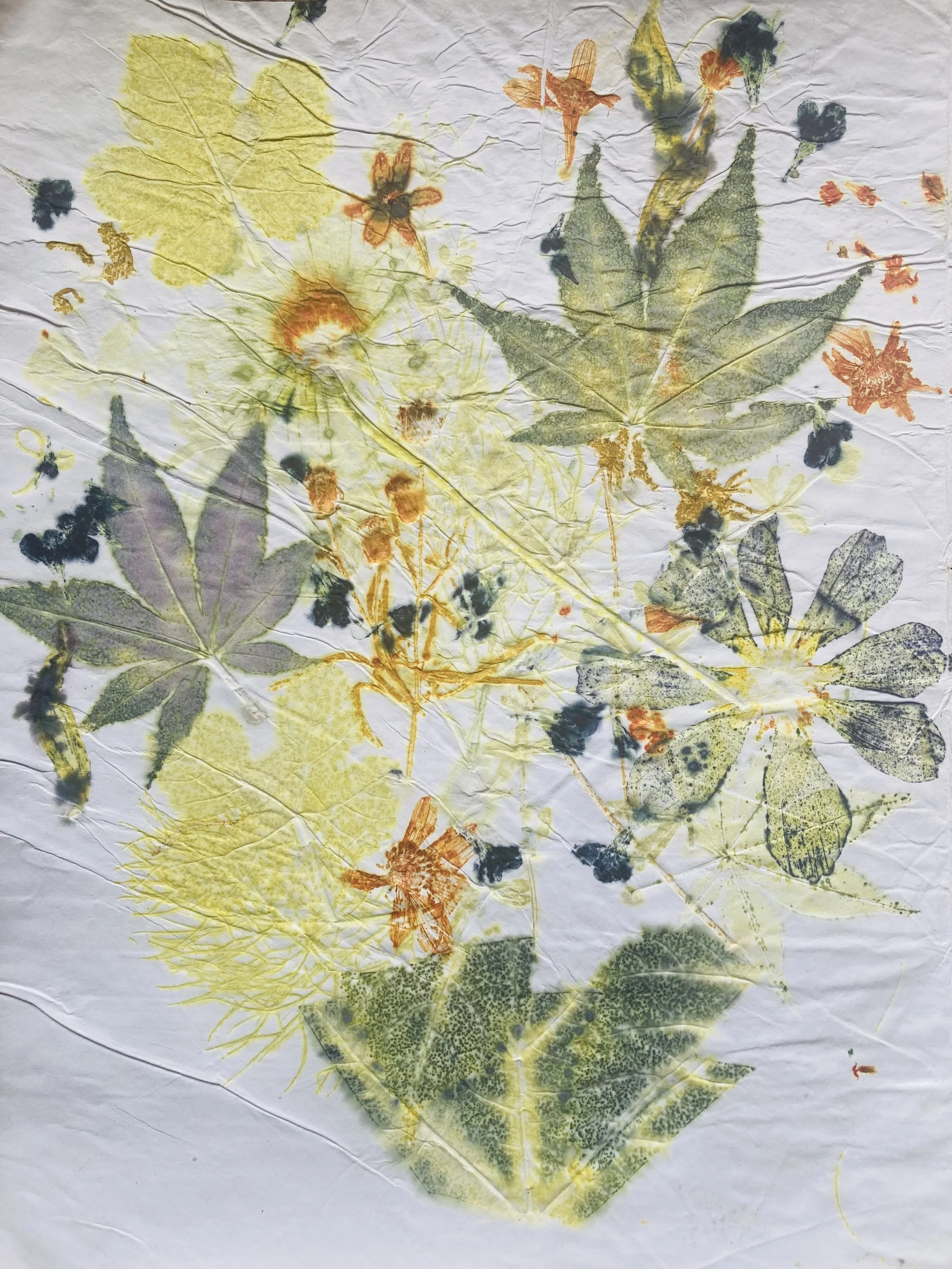 Walled Garden Eco Printing: Workshop with Ruth Illingworth