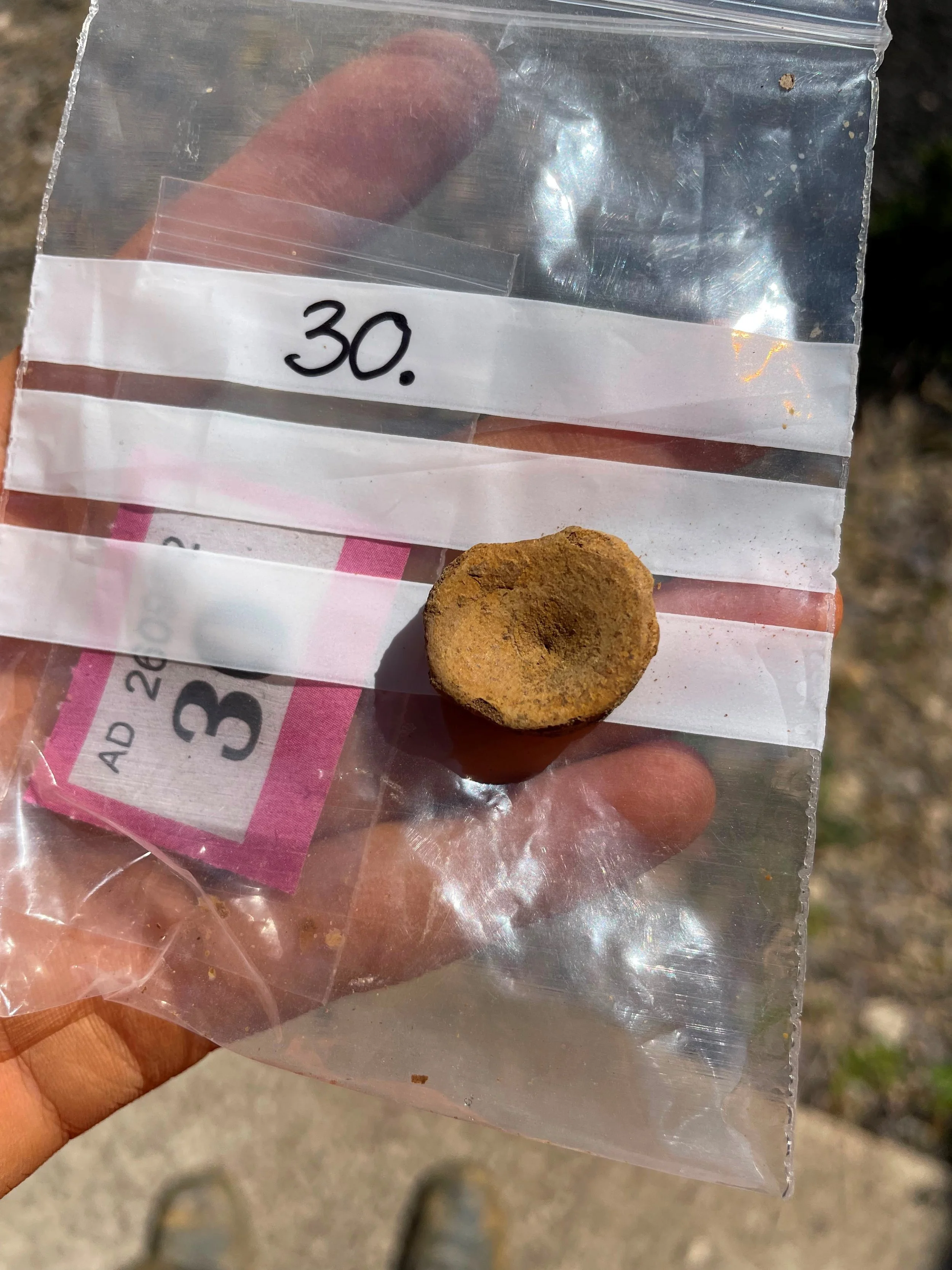Close-up of a round fossil resting on a polythene bag in a person's hand, with a raffle ticket visible underneath