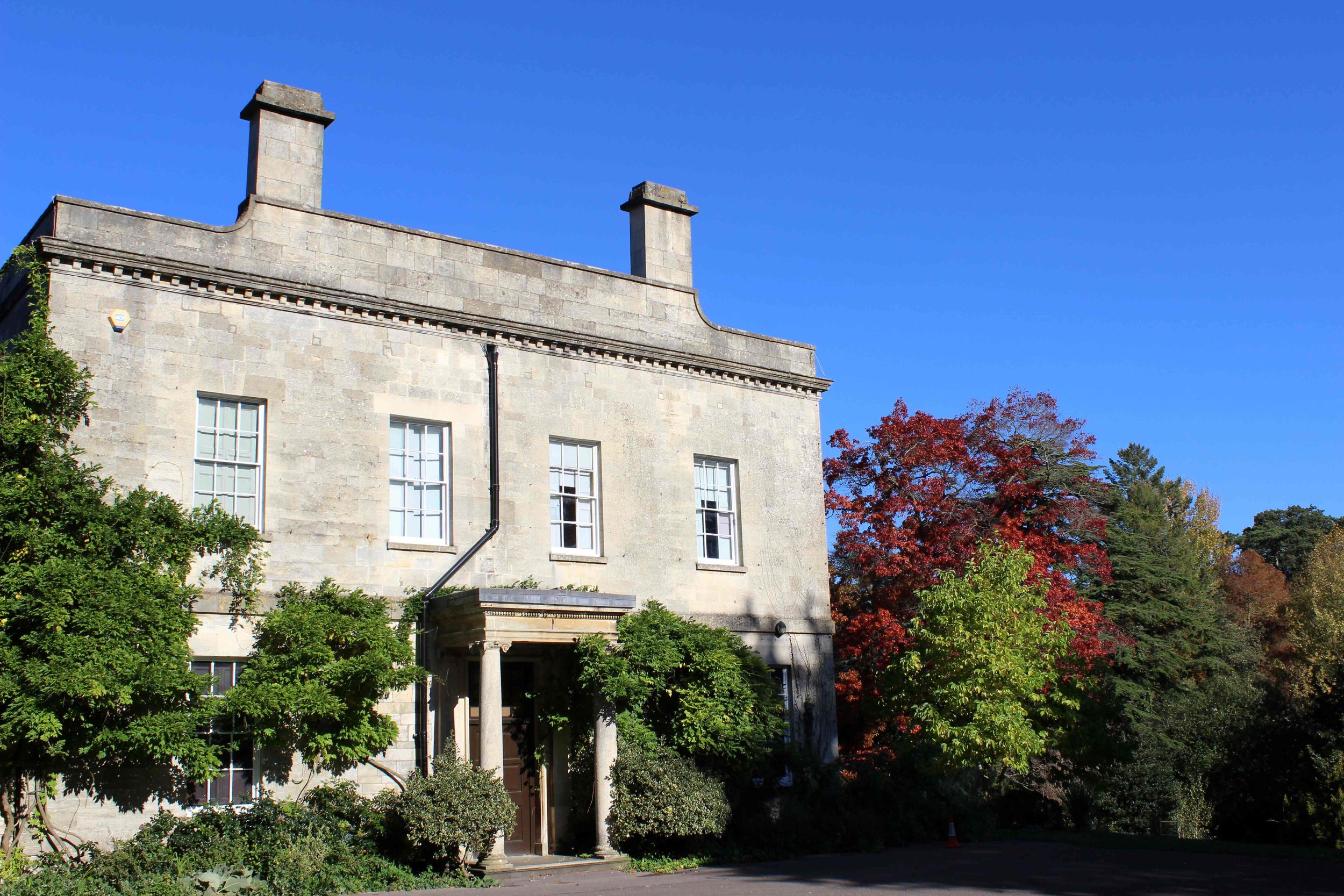 Museum in the Park autumn view.JPG