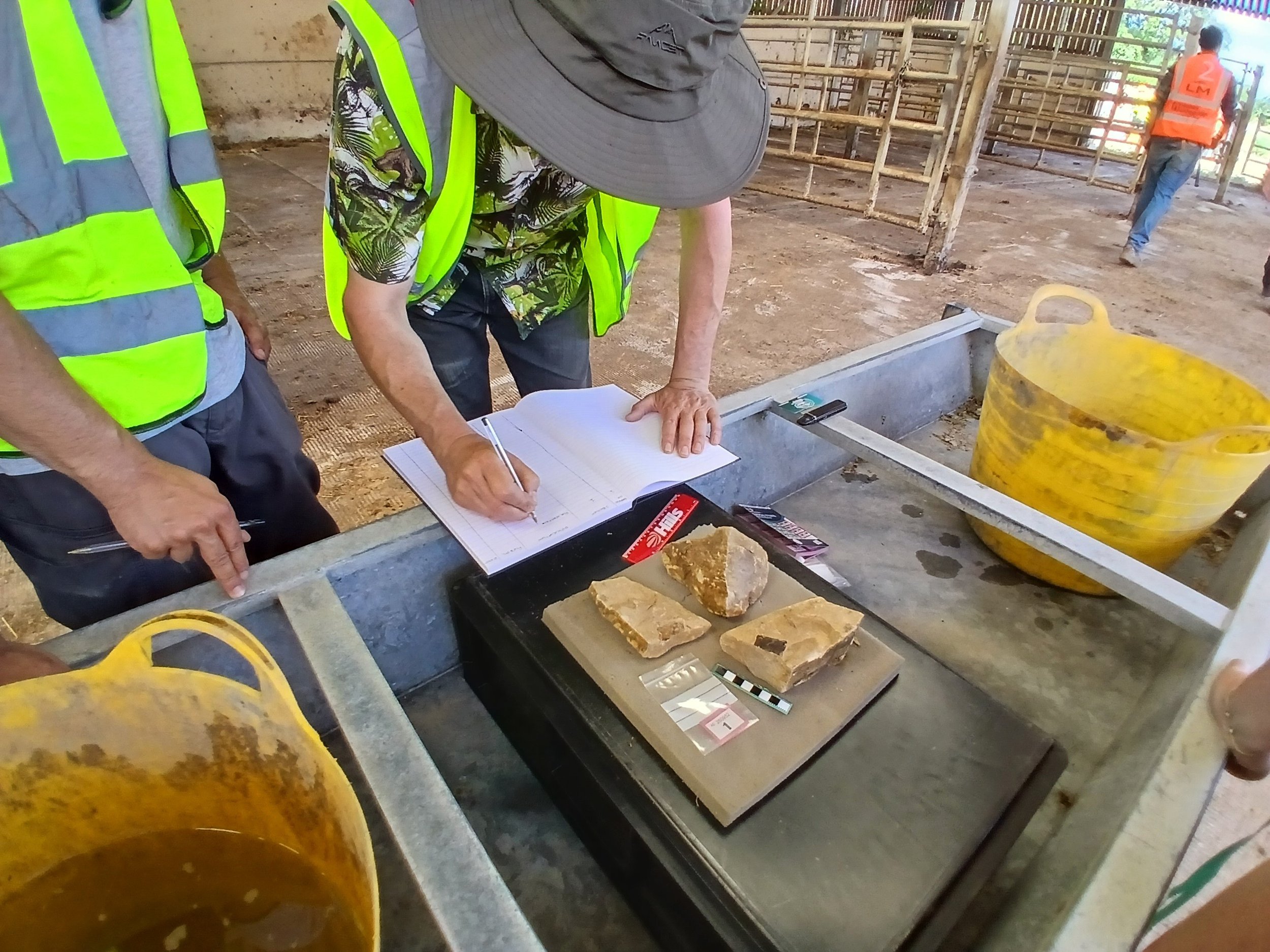 A man leans over a notebook, writing, with fossils in front of him