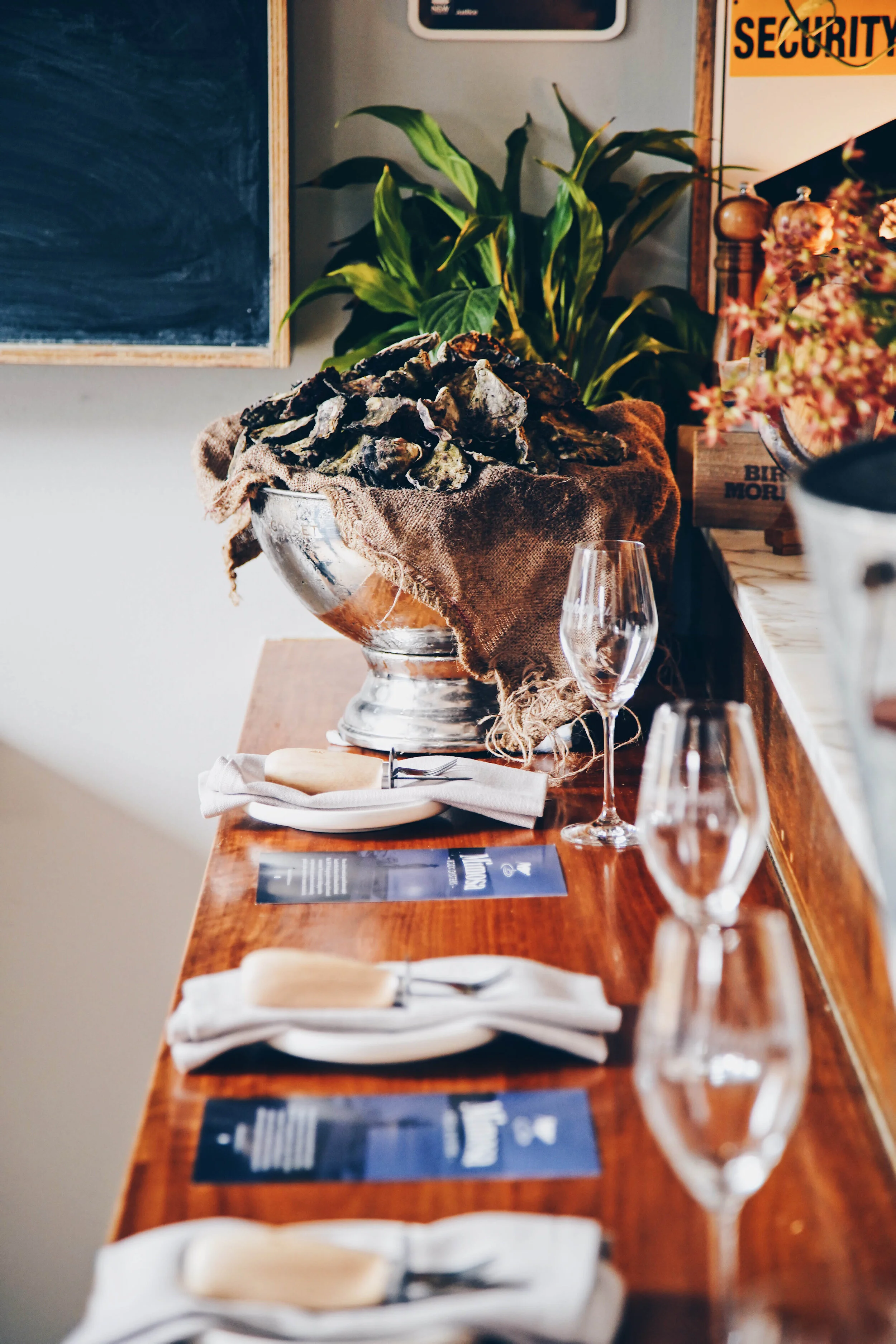 MIMOSA OYSTER MASTERCLASS 49.jpg