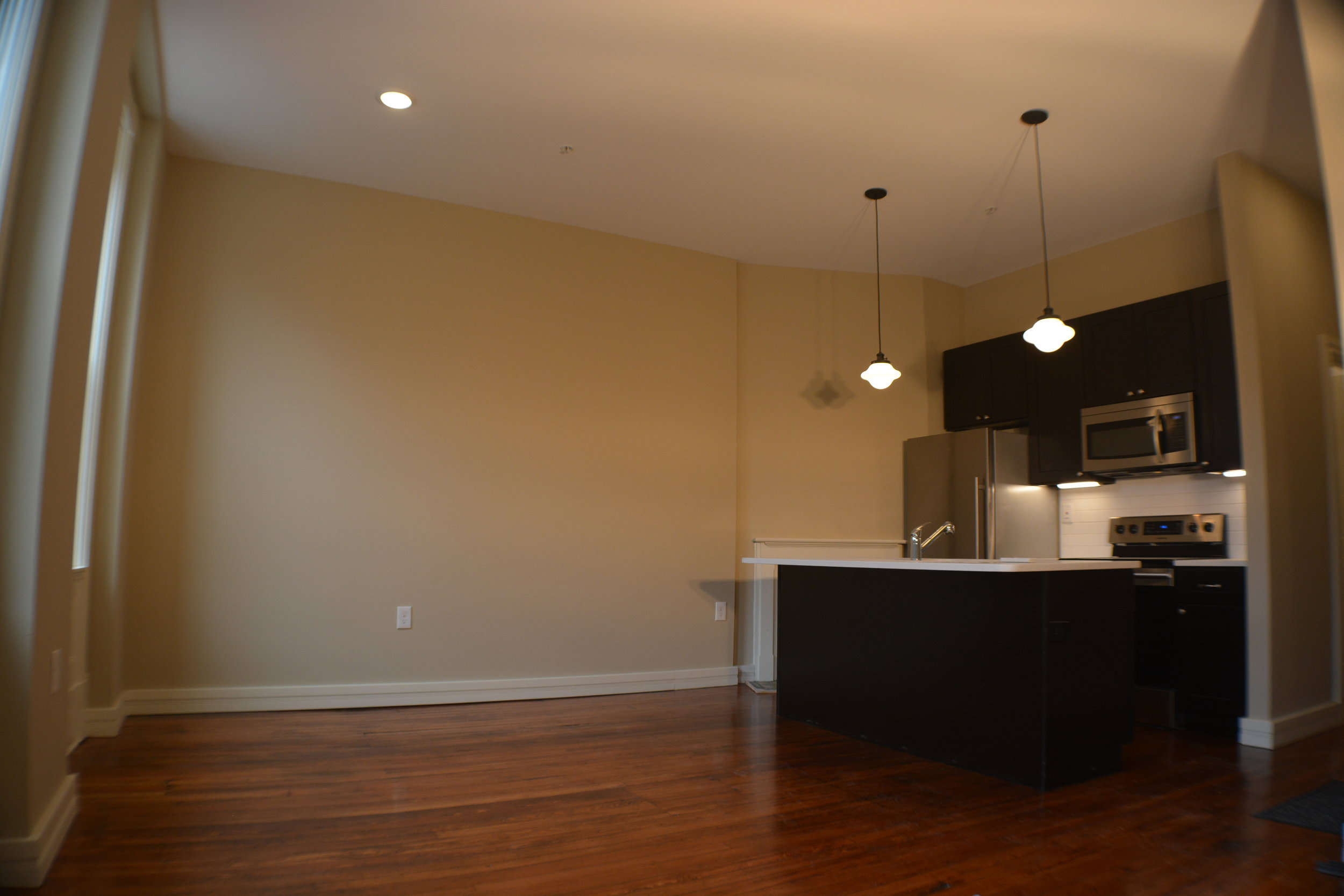 Eutaw Kitchen and Living.JPG