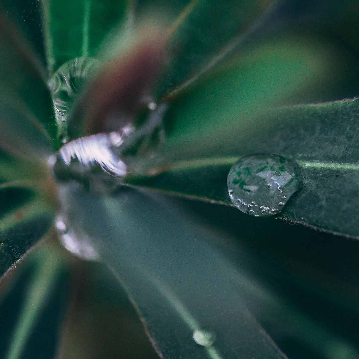 Happy Earth Day! Without water drops there can be no oceans; without steps there can be no stairs; without little things there can be no big things. There are little things we can all do to reduce our environmental impact. Repurpose materials, grow a