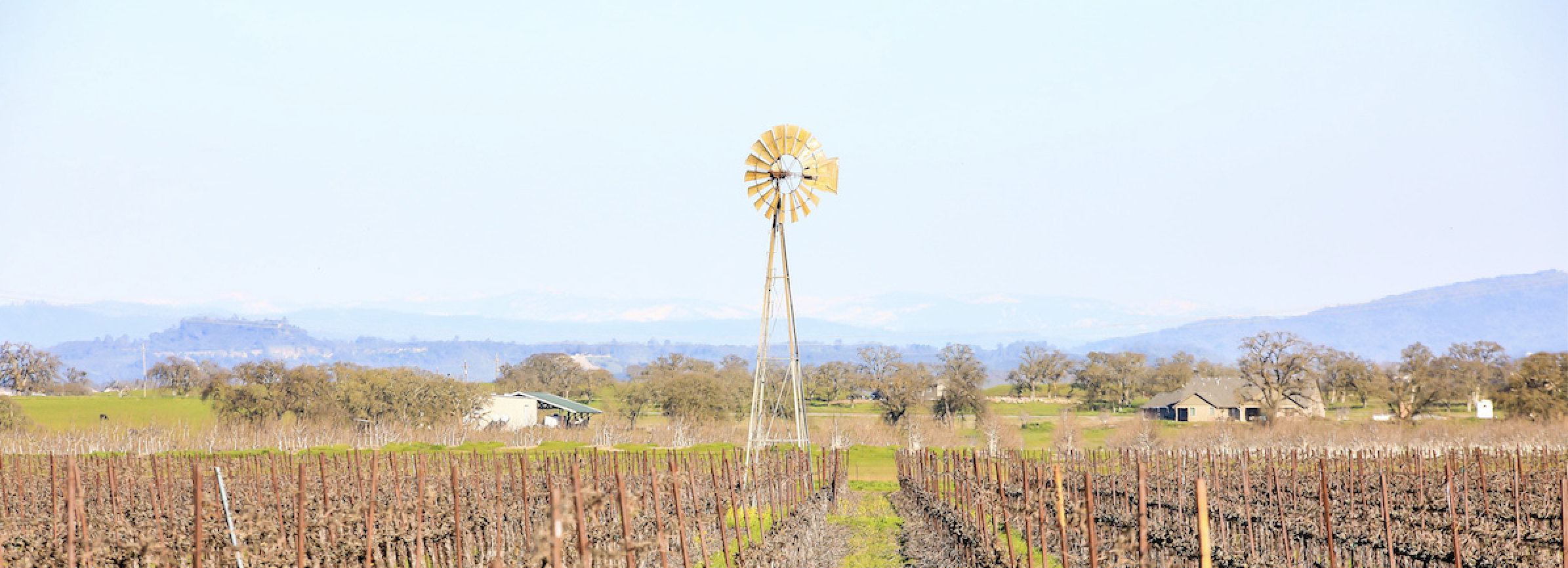 good_earth_farms_windmill.png
