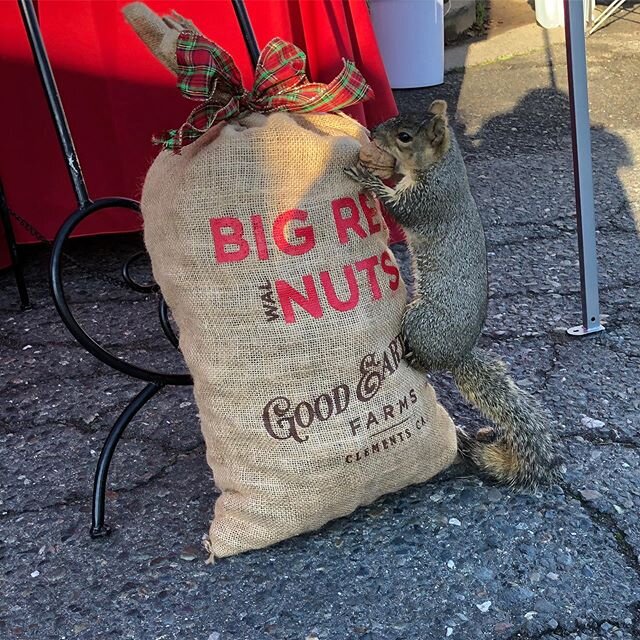 We met our biggest fan this morning at the Carmichael Park Farmers Market!! 😂 #bigrednuts