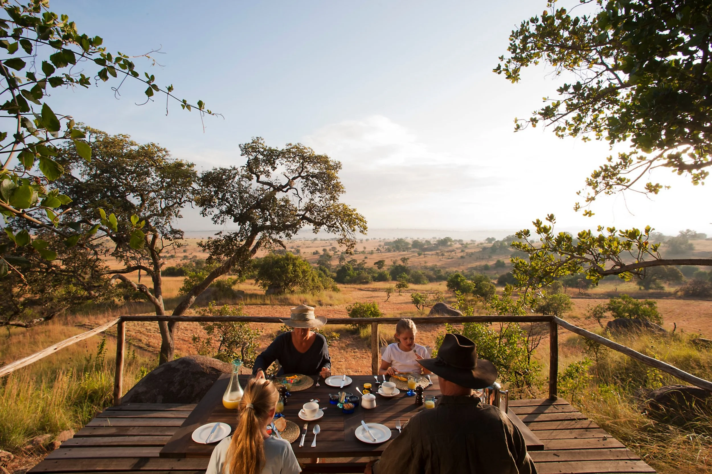 LamaiSerengeti14.jpg