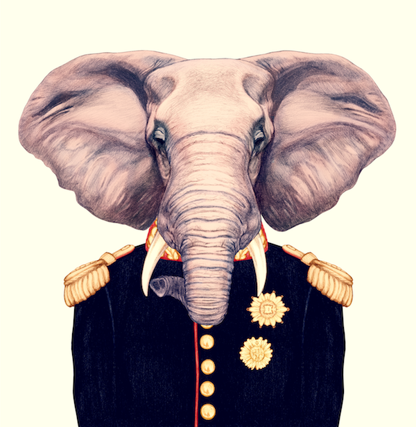 livinstonelephant.png