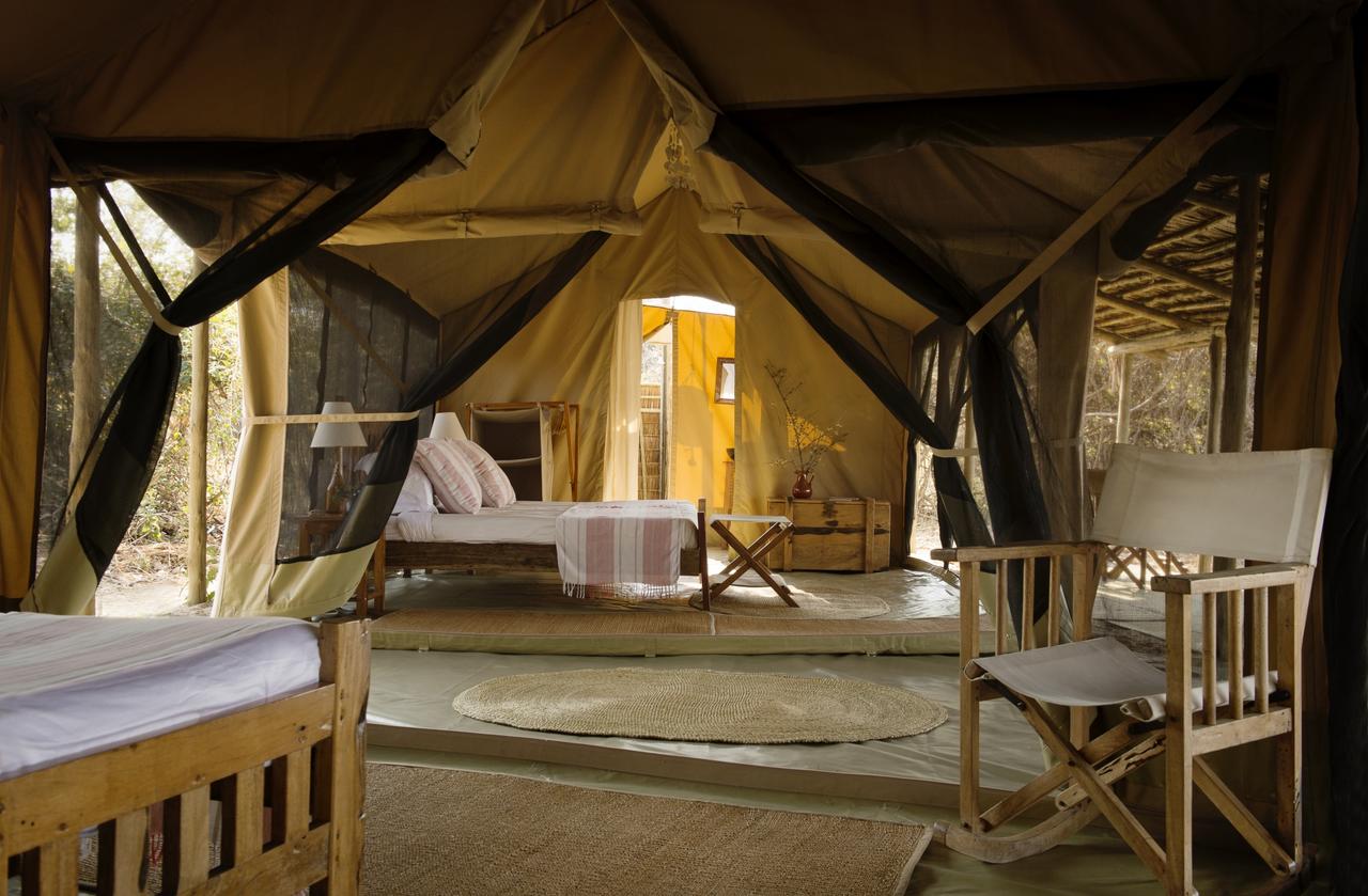 kigelia_ruaha11.jpg